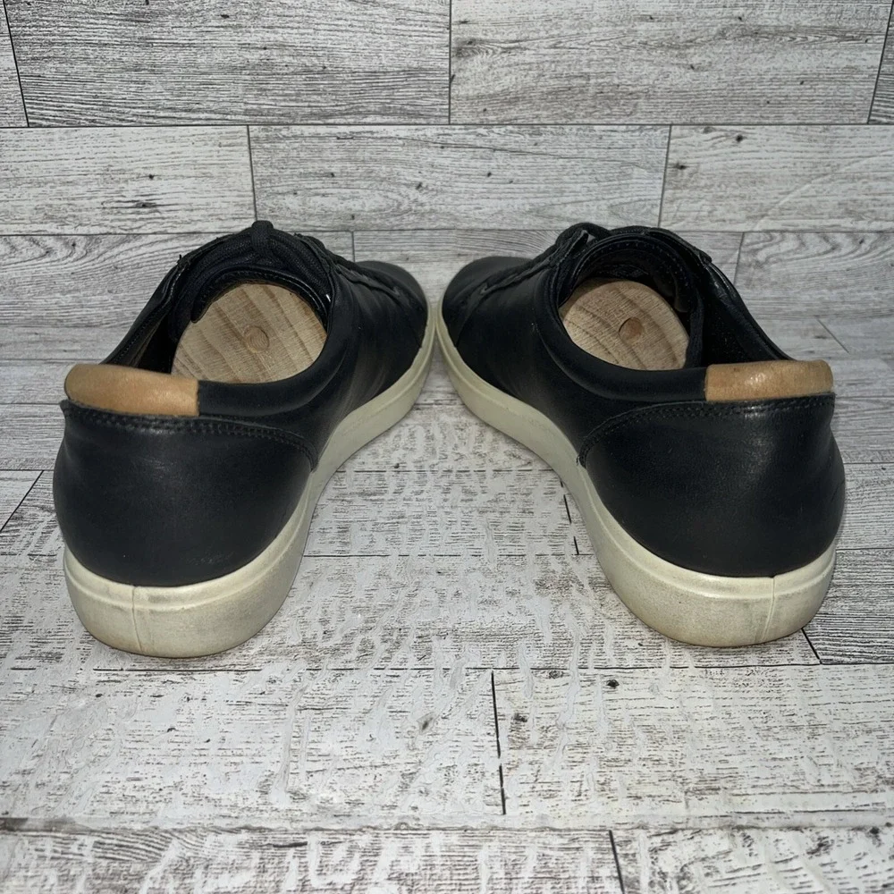 Ecco elevate your